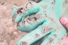 2024-08-31-Arbeitseinsatz-24